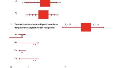 6. Sınıf Gün Yayınları Fen Bilimleri Ders Kitabı Sayfa 119 Cevapları