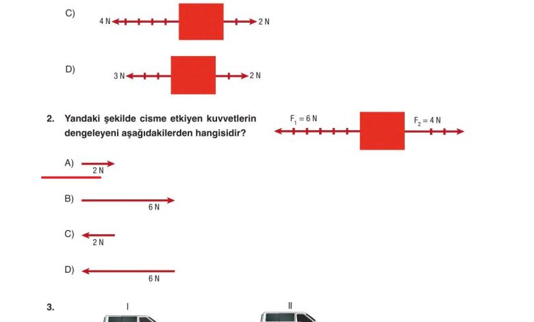 6. Sınıf Gün Yayınları Fen Bilimleri Ders Kitabı Sayfa 119 Cevapları