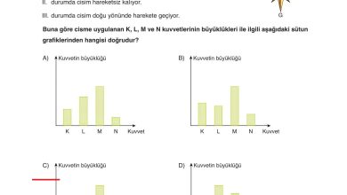 6. Sınıf Gün Yayınları Fen Bilimleri Ders Kitabı Sayfa 121 Cevapları