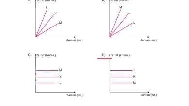 6. Sınıf Gün Yayınları Fen Bilimleri Ders Kitabı Sayfa 122 Cevapları