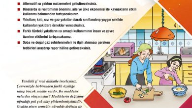 6. Sınıf Gün Yayınları Fen Bilimleri Ders Kitabı Sayfa 125 Cevapları