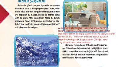 6. Sınıf Gün Yayınları Fen Bilimleri Ders Kitabı Sayfa 126 Cevapları