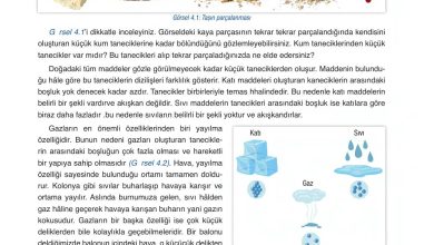 6. Sınıf Gün Yayınları Fen Bilimleri Ders Kitabı Sayfa 127 Cevapları