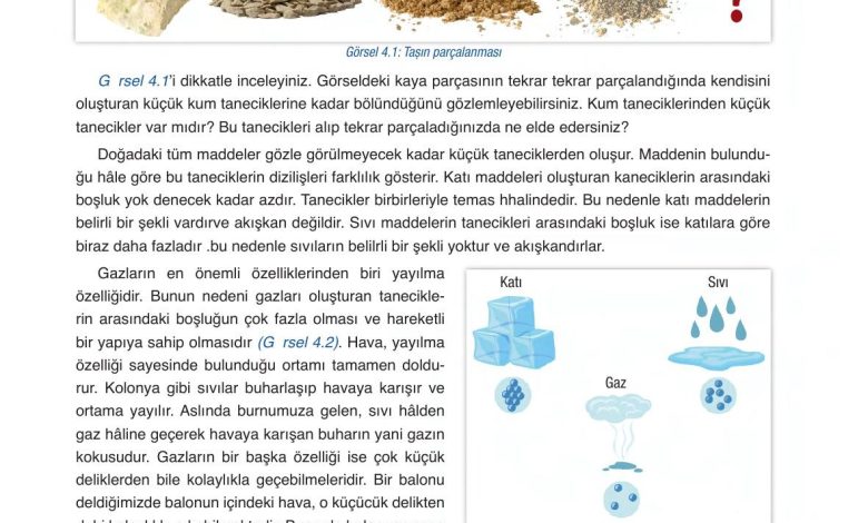 6. Sınıf Gün Yayınları Fen Bilimleri Ders Kitabı Sayfa 127 Cevapları