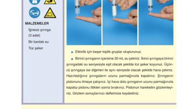 6. Sınıf Gün Yayınları Fen Bilimleri Ders Kitabı Sayfa 128 Cevapları