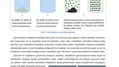 6. Sınıf Gün Yayınları Fen Bilimleri Ders Kitabı Sayfa 129 Cevapları