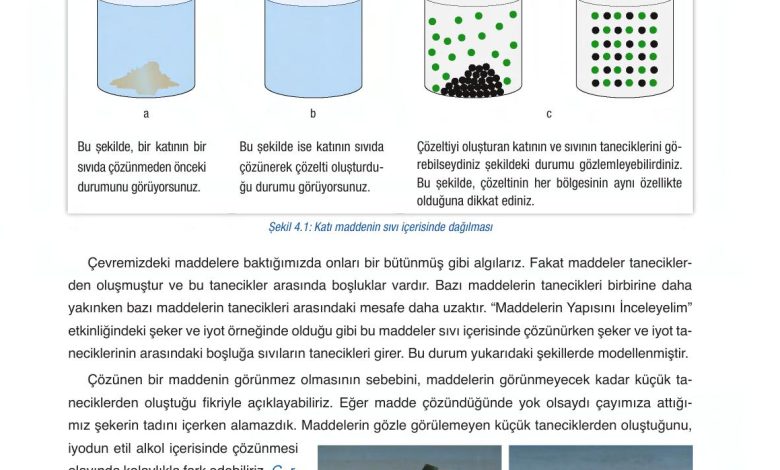 6. Sınıf Gün Yayınları Fen Bilimleri Ders Kitabı Sayfa 129 Cevapları