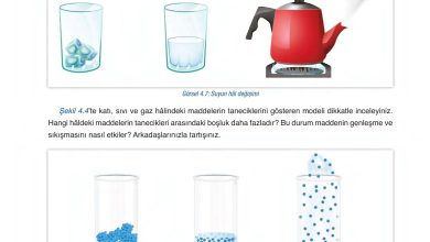 6. Sınıf Gün Yayınları Fen Bilimleri Ders Kitabı Sayfa 132 Cevapları