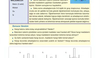 6. Sınıf Gün Yayınları Fen Bilimleri Ders Kitabı Sayfa 133 Cevapları