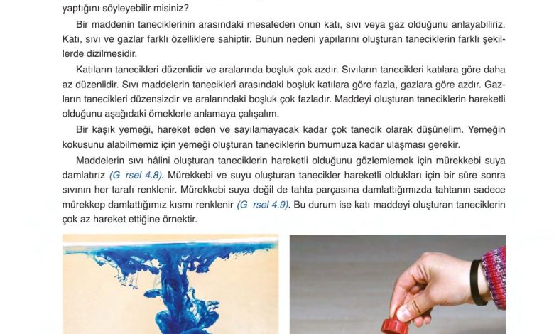 6. Sınıf Gün Yayınları Fen Bilimleri Ders Kitabı Sayfa 134 Cevapları