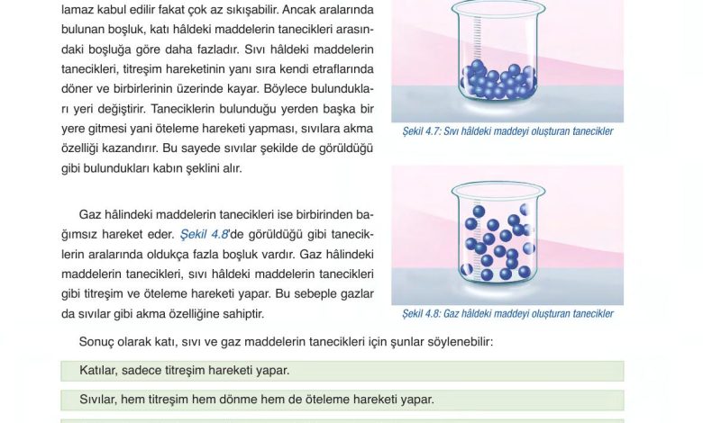 6. Sınıf Gün Yayınları Fen Bilimleri Ders Kitabı Sayfa 135 Cevapları