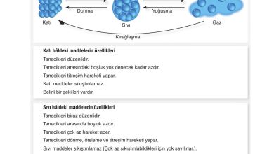 6. Sınıf Gün Yayınları Fen Bilimleri Ders Kitabı Sayfa 136 Cevapları