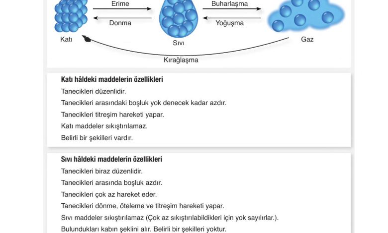 6. Sınıf Gün Yayınları Fen Bilimleri Ders Kitabı Sayfa 136 Cevapları