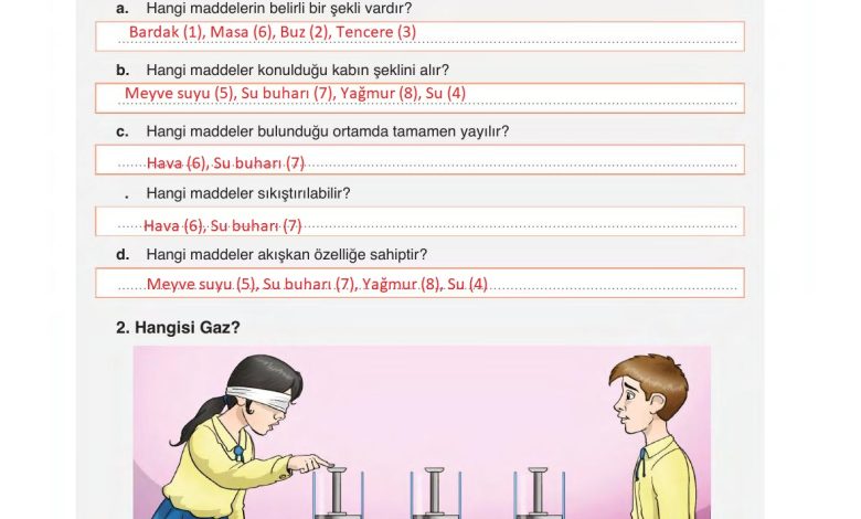 6. Sınıf Gün Yayınları Fen Bilimleri Ders Kitabı Sayfa 137 Cevapları