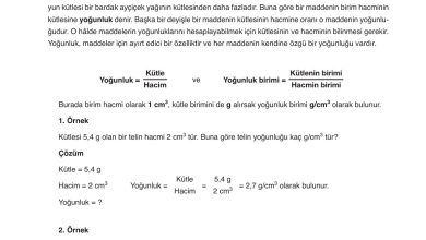 6. Sınıf Gün Yayınları Fen Bilimleri Ders Kitabı Sayfa 140 Cevapları