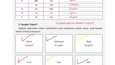 6. Sınıf Gün Yayınları Fen Bilimleri Ders Kitabı Sayfa 144 Cevapları