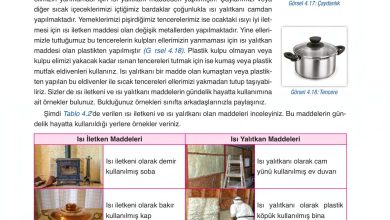 6. Sınıf Gün Yayınları Fen Bilimleri Ders Kitabı Sayfa 147 Cevapları