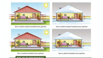 6. Sınıf Gün Yayınları Fen Bilimleri Ders Kitabı Sayfa 151 Cevapları