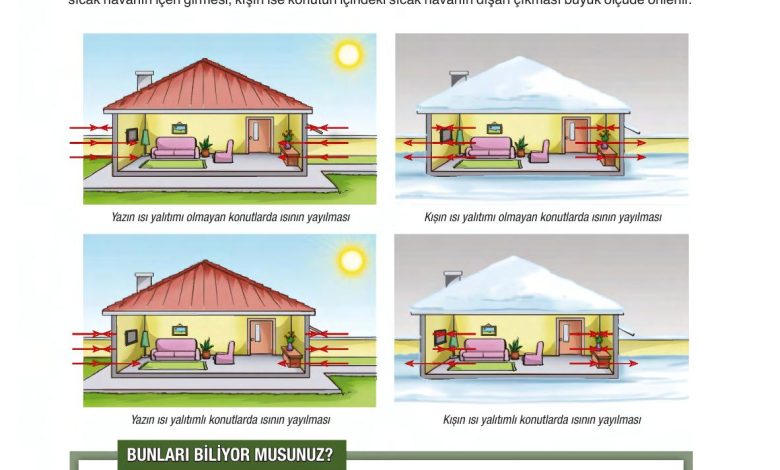 6. Sınıf Gün Yayınları Fen Bilimleri Ders Kitabı Sayfa 151 Cevapları