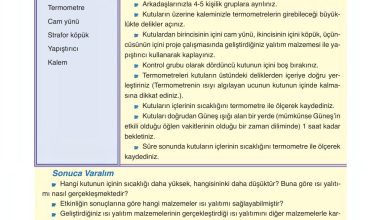 6. Sınıf Gün Yayınları Fen Bilimleri Ders Kitabı Sayfa 153 Cevapları