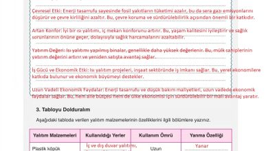 6. Sınıf Gün Yayınları Fen Bilimleri Ders Kitabı Sayfa 155 Cevapları