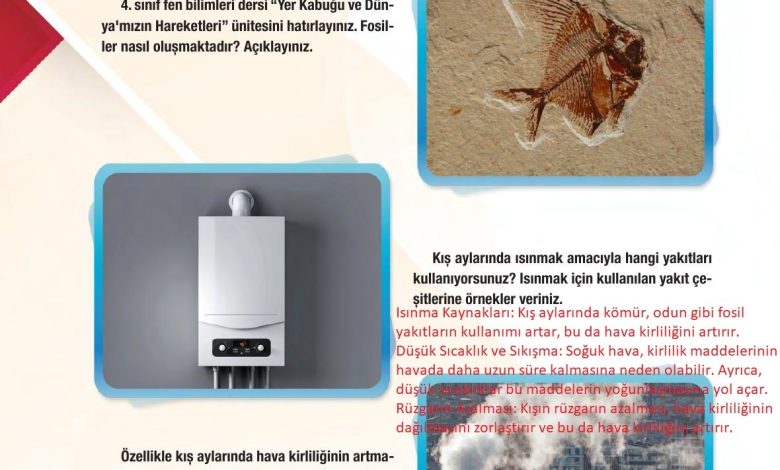 6. Sınıf Gün Yayınları Fen Bilimleri Ders Kitabı Sayfa 156 Cevapları