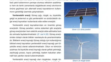 6. Sınıf Gün Yayınları Fen Bilimleri Ders Kitabı Sayfa 159 Cevapları