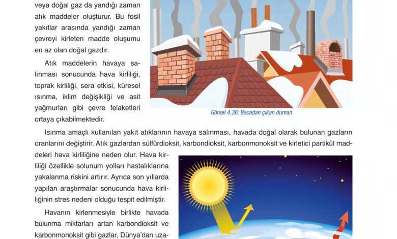 6. Sınıf Gün Yayınları Fen Bilimleri Ders Kitabı Sayfa 161 Cevapları