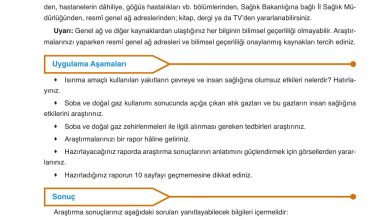 6. Sınıf Gün Yayınları Fen Bilimleri Ders Kitabı Sayfa 164 Cevapları