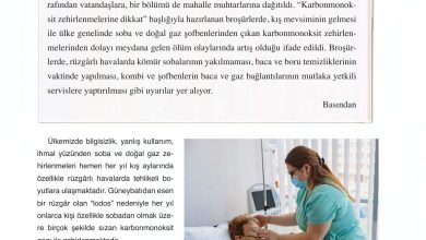 6. Sınıf Gün Yayınları Fen Bilimleri Ders Kitabı Sayfa 165 Cevapları