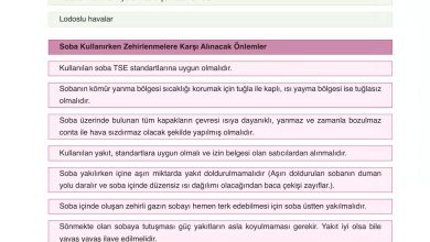 6. Sınıf Gün Yayınları Fen Bilimleri Ders Kitabı Sayfa 166 Cevapları