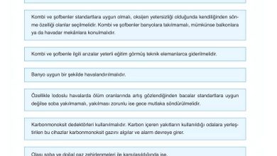 6. Sınıf Gün Yayınları Fen Bilimleri Ders Kitabı Sayfa 167 Cevapları