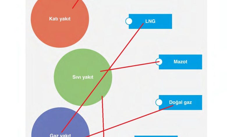 6. Sınıf Gün Yayınları Fen Bilimleri Ders Kitabı Sayfa 168 Cevapları