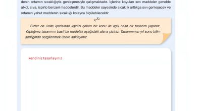 6. Sınıf Gün Yayınları Fen Bilimleri Ders Kitabı Sayfa 171 Cevapları