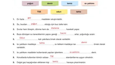 6. Sınıf Gün Yayınları Fen Bilimleri Ders Kitabı Sayfa 172 Cevapları