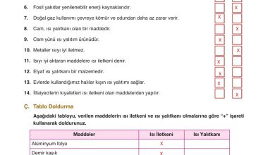 6. Sınıf Gün Yayınları Fen Bilimleri Ders Kitabı Sayfa 173 Cevapları