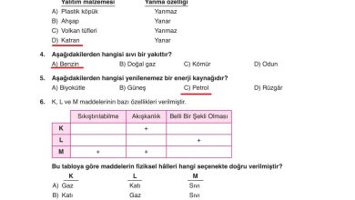 6. Sınıf Gün Yayınları Fen Bilimleri Ders Kitabı Sayfa 174 Cevapları