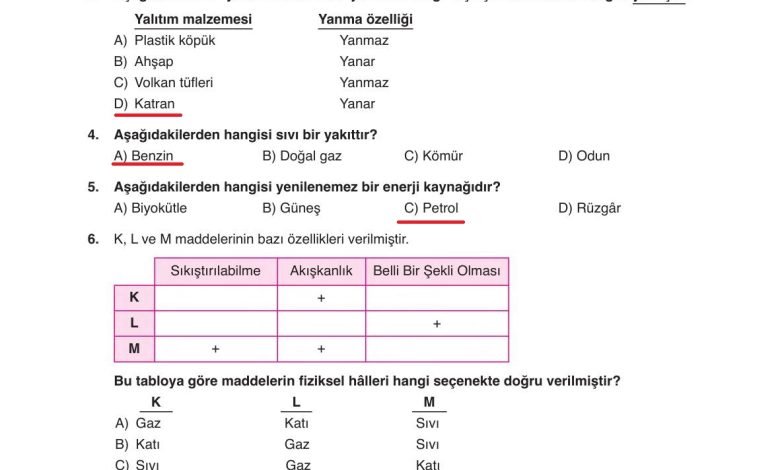 6. Sınıf Gün Yayınları Fen Bilimleri Ders Kitabı Sayfa 174 Cevapları