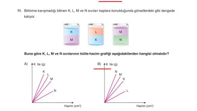 6. Sınıf Gün Yayınları Fen Bilimleri Ders Kitabı Sayfa 175 Cevapları