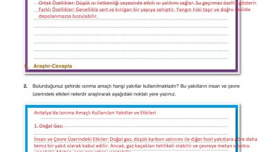 6. Sınıf Gün Yayınları Fen Bilimleri Ders Kitabı Sayfa 177 Cevapları