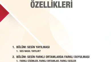 6. Sınıf Gün Yayınları Fen Bilimleri Ders Kitabı Sayfa 178 Cevapları