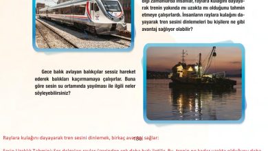 6. Sınıf Gün Yayınları Fen Bilimleri Ders Kitabı Sayfa 180 Cevapları