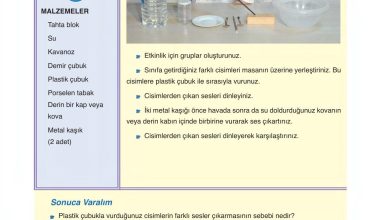 6. Sınıf Gün Yayınları Fen Bilimleri Ders Kitabı Sayfa 185 Cevapları