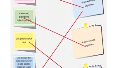 6. Sınıf Gün Yayınları Fen Bilimleri Ders Kitabı Sayfa 187 Cevapları