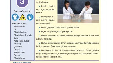 6. Sınıf Gün Yayınları Fen Bilimleri Ders Kitabı Sayfa 189 Cevapları