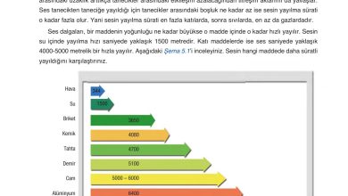 6. Sınıf Gün Yayınları Fen Bilimleri Ders Kitabı Sayfa 190 Cevapları