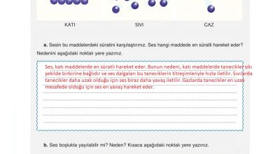 6. Sınıf Gün Yayınları Fen Bilimleri Ders Kitabı Sayfa 192 Cevapları