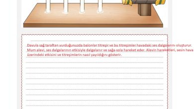 6. Sınıf Gün Yayınları Fen Bilimleri Ders Kitabı Sayfa 193 Cevapları