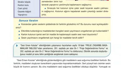 6. Sınıf Gün Yayınları Fen Bilimleri Ders Kitabı Sayfa 198 Cevapları