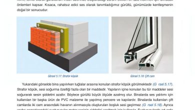 6. Sınıf Gün Yayınları Fen Bilimleri Ders Kitabı Sayfa 199 Cevapları